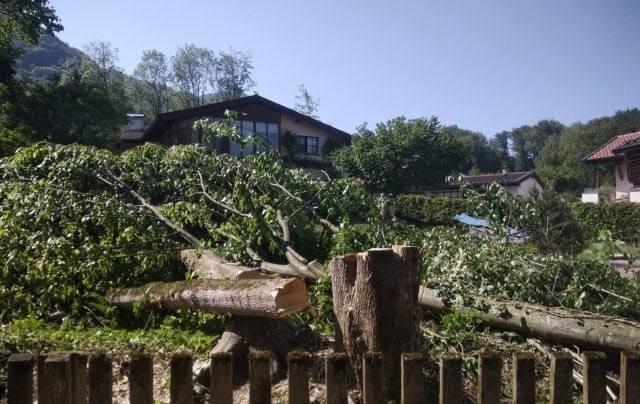 … ein wunderschönes Gartengrundstück