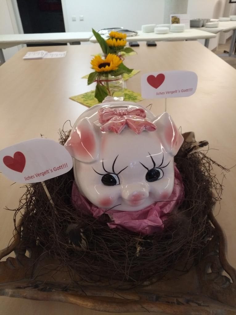 TdoT – Schwein TdoT – Schwein